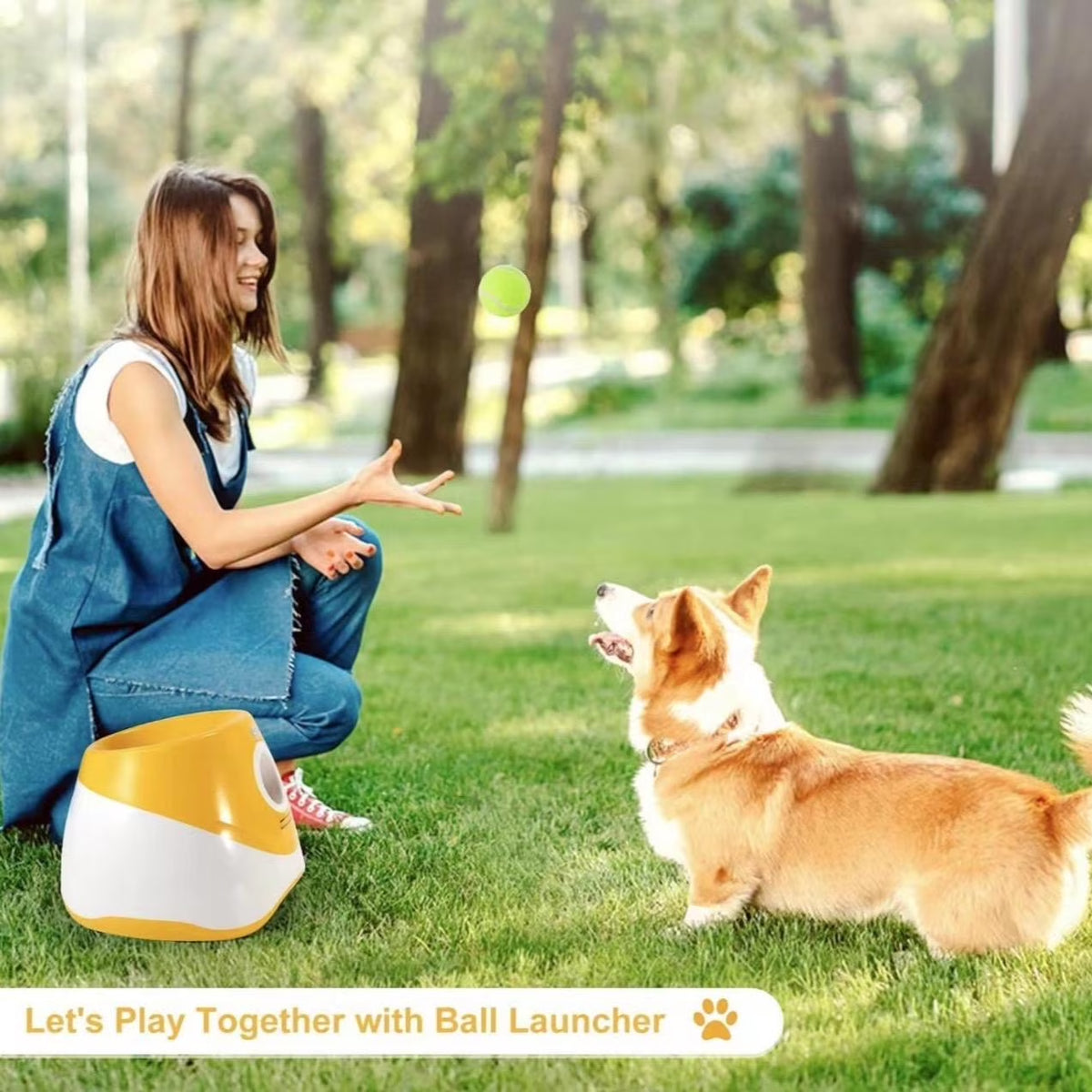 Automatic Dog Ball Launcher - 3 Distance Settings, Indoor & Outdoor Fetch Machine